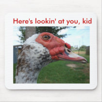 Muscovy Duck mousepad by Kasia5872 Muscovy Duck mousepad