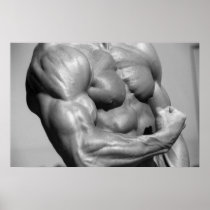 Muscular Chest Poster