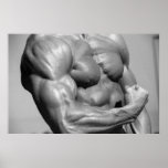 Muscular Chest Poster