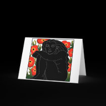 Muse cards