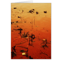 Muse Greeting Cards