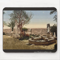 Museum garden, Carthage, Tunisia vintage Photochro Mouse Pads