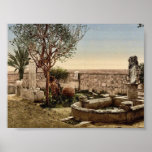 Museum garden, Carthage, Tunisia vintage Photochro Posters