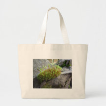 Musgo floreciente en el Cleeve en Exmoor Bolsas De Mano