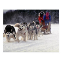 Mush postcards