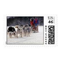 Mush Postage Stamp