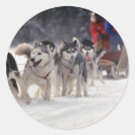 Mush Round Stickers