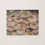 Mushroom2 Puzzle puzzles