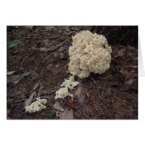 Mushroom6 cards