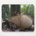 Mushroom 163 ~ mousepad by Andy2302 Mushroom 163 ~ mousepad