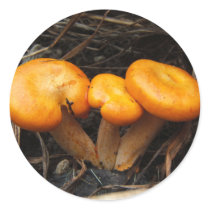 Mushroom 299 ~ stickers by Andy2302 Mushroom 299 ~ stickers
