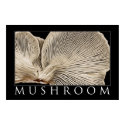 Mushroom 2 posters