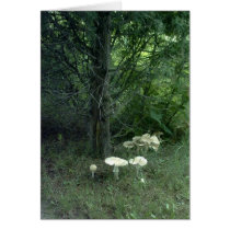 Mushroom Beauty Poem Card