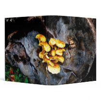 Mushroom Binder