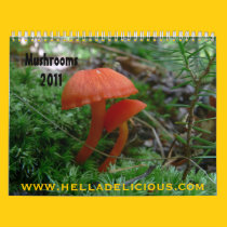 Mushroom Calendar 2011 calendars