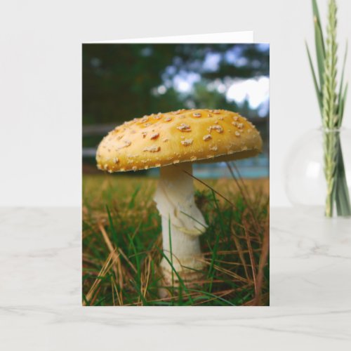 Mushroom Card card