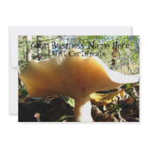 Mushroom Enjoying the Sunshine; Gift Certificate Custom Invites