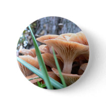 Mushroom Forest button by DarkTendencies Mushroom Forest button