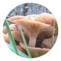 Mushroom Forest sticker