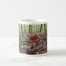Mushroom IM009162 Mug