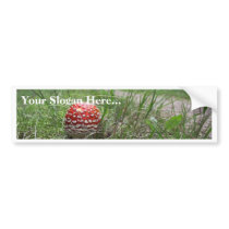 Mushroom In The Grass bumper stickers