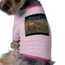 Mushroom In The Grass pet clothing by lifesphere Mushroom In The Grass pet clothing