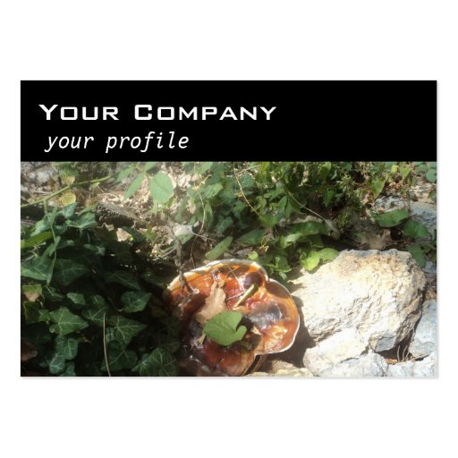 mushroom ,ivy ,stones business card template