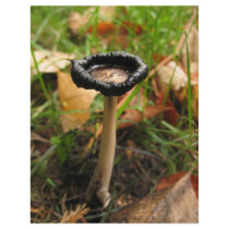 mushroom letterhead by jram36 mushroom letterhead