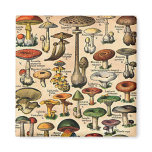 Mushroom magnet