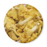 Mushroom Magnet
