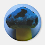 Mushroom Magnet