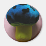 Mushroom Magnet