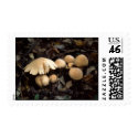 Mushroom Moon postage by james_orear2 Mushroom Moon postage
