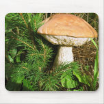 Mushroom Mouse Pads