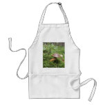 Mushroom On Moss Apron