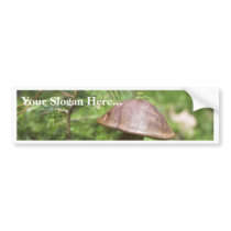 Mushroom On Moss bumper stickers