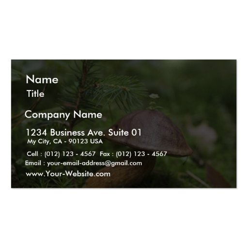 Mushroom On Moss Business Card Template (front side)