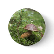 Mushroom On Moss buttons by lifesphere Mushroom On Moss buttons