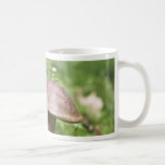 Mushroom On Moss Coffee Mugs