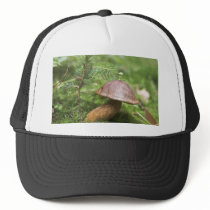 Mushroom On Moss hats by lifesphere Mushroom On Moss hats