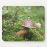 Mushroom On Moss Mouse Pads
