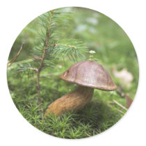 Mushroom On Moss Sticker