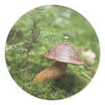 Mushroom On Moss Sticker