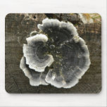 Mushroom On Tree Mouse Pads