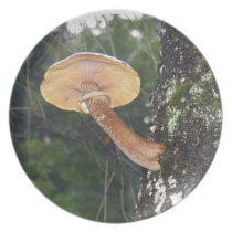 Mushroom on Tree Trunk plates