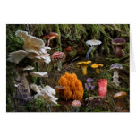 Mushroom Paradise Card