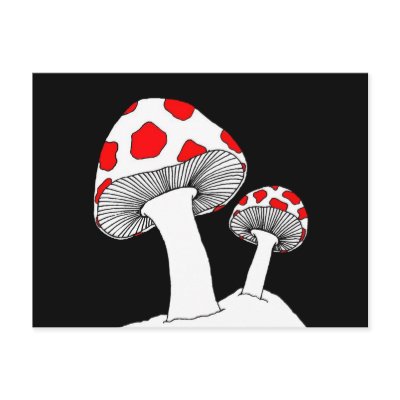 Mushroom Postcard by MidnightAkita