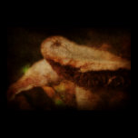 Mushroom posters