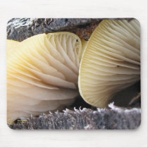 Mushroom Power mousepads