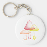 Mushroom products key chains